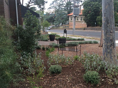 medical consulting suites