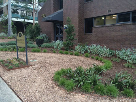 medical consulting suites