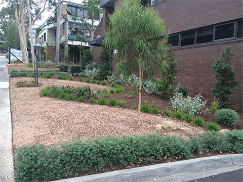 medical consulting suites