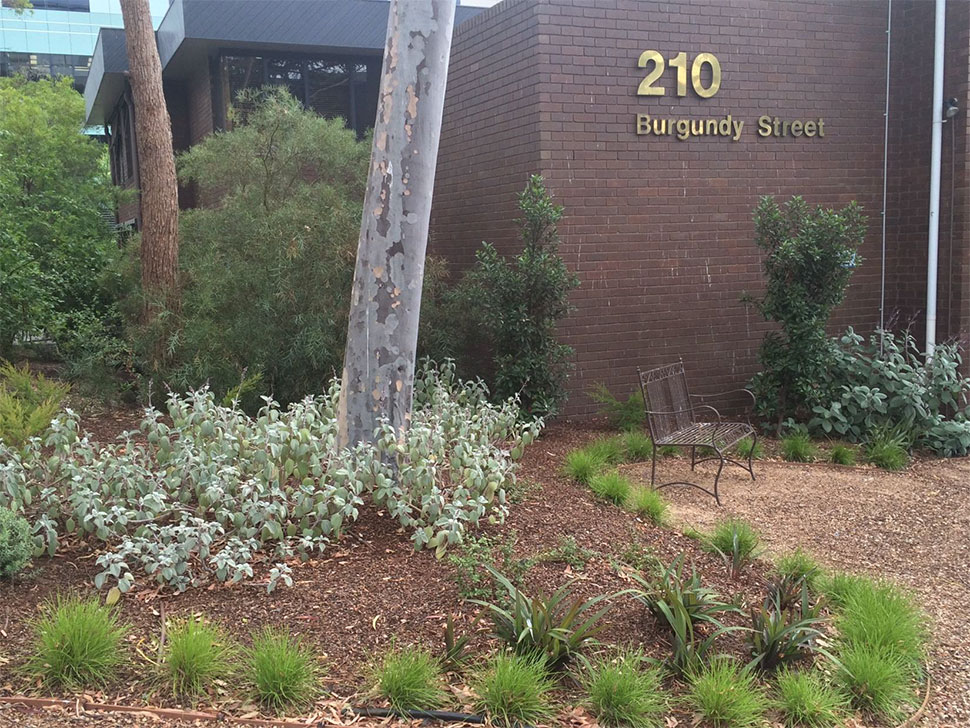 medical consulting suites